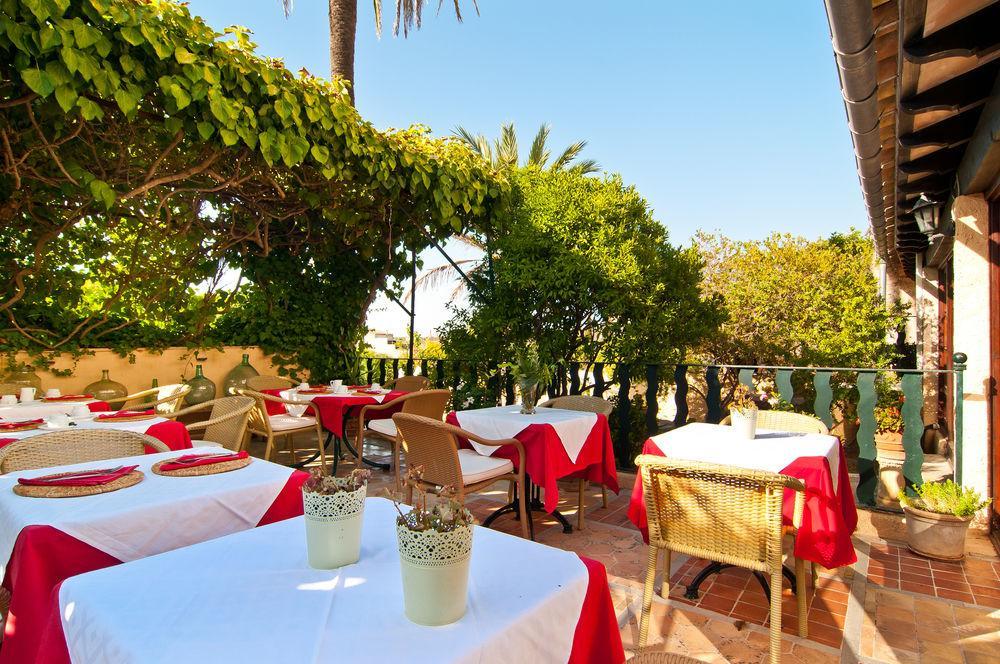 Leon De Sineu Sineu (Mallorca)