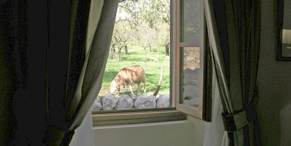S'hort De Cas Misser Boutique (adults Only) Casa rural Selva (Mallorca)