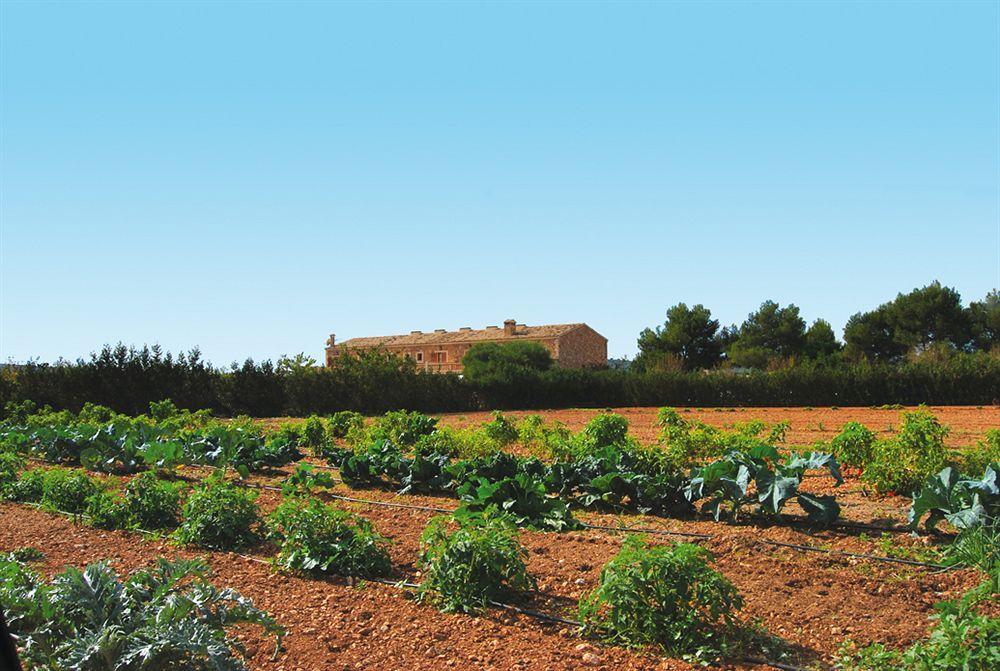 Agroturism Son Terrades Hotel 3*