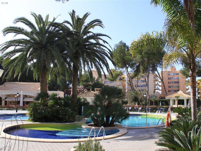 Riu Bravo Hotel