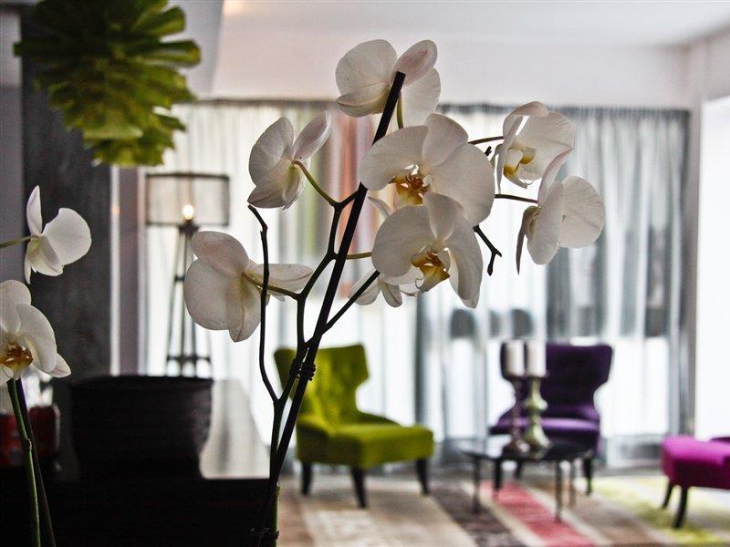 Feliz Hotel 4*