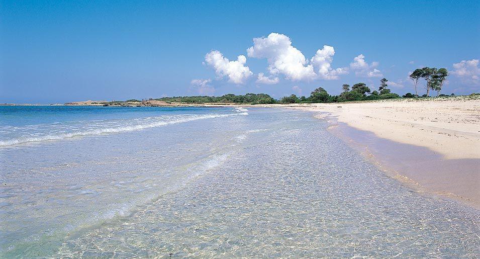 Gatet Colonia de Sant Jordi