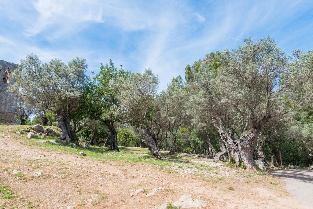 Sa Garriga De Barratot * Selva (Mallorca)
