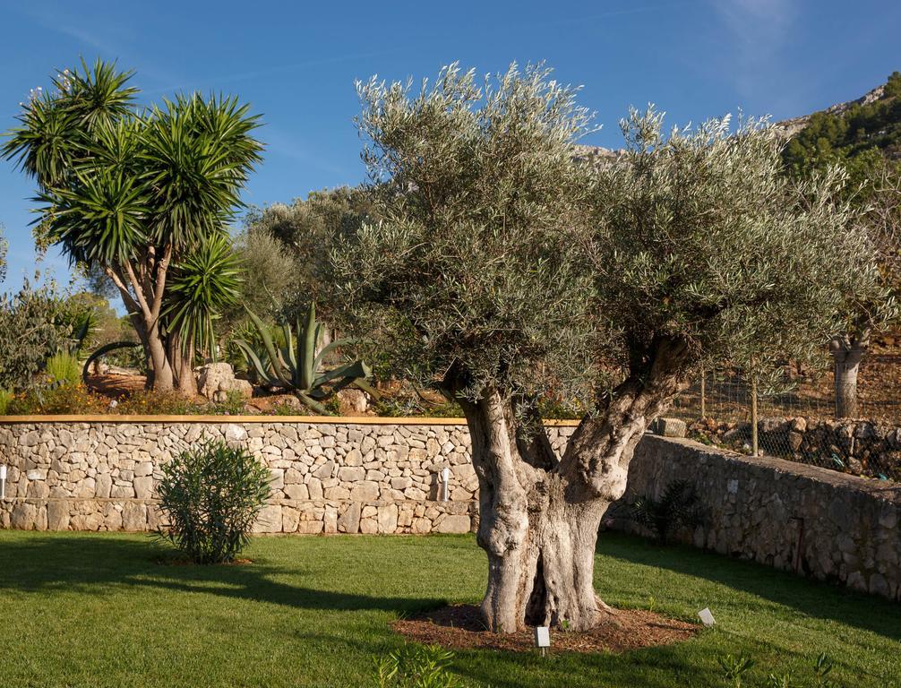 Agroturismo S'arbocar