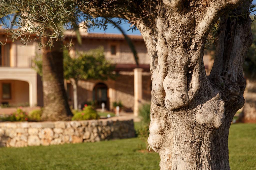 S'arbocar Sant Llorenc Des Cardassar