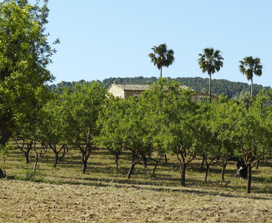 Agroturismo Son Bauzanet (adults Only) Agroturismo