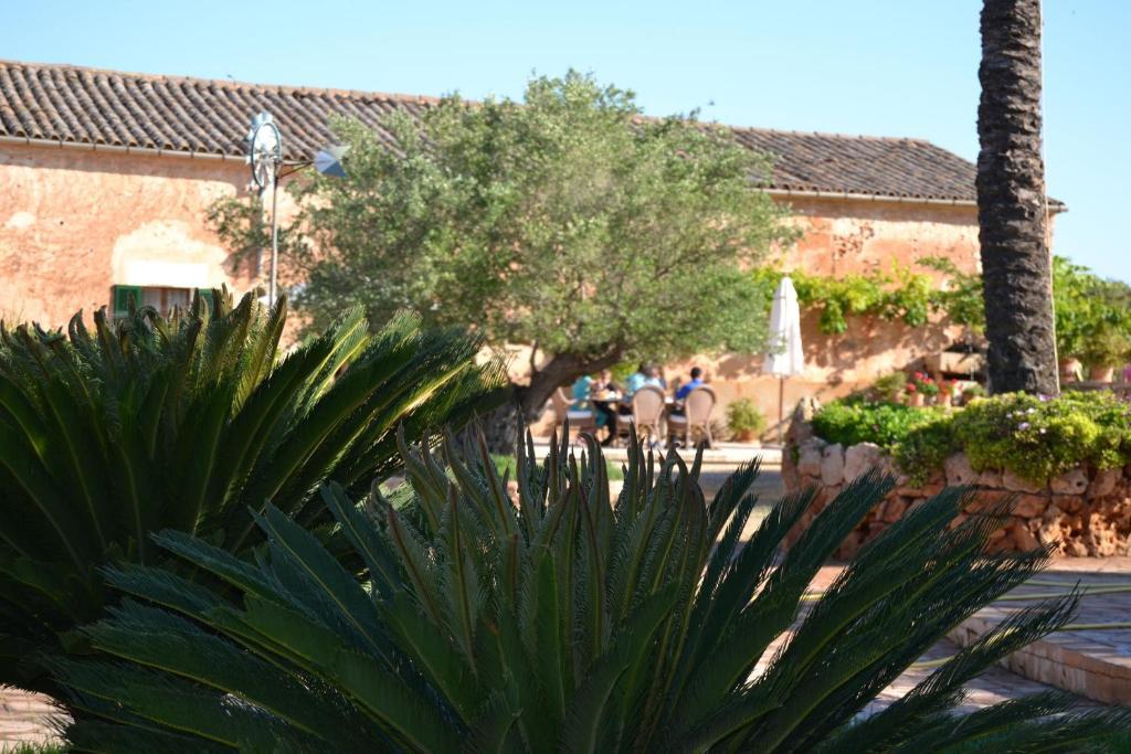 Agroturismo Finca Son Sala Campos (Mallorca)