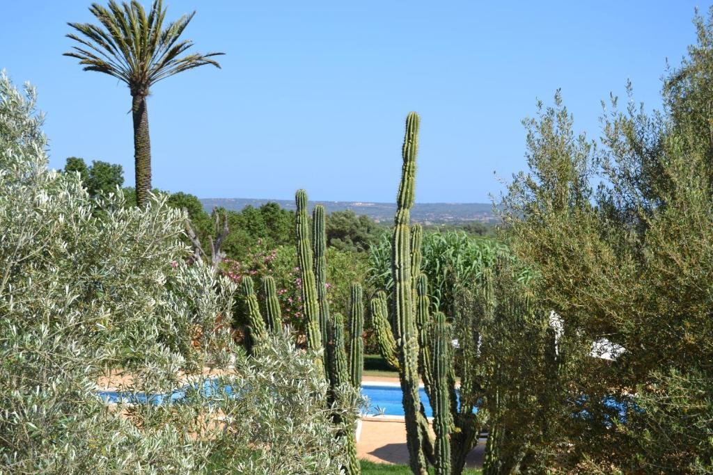 Agroturismo Finca Son Sala Campos (Mallorca)