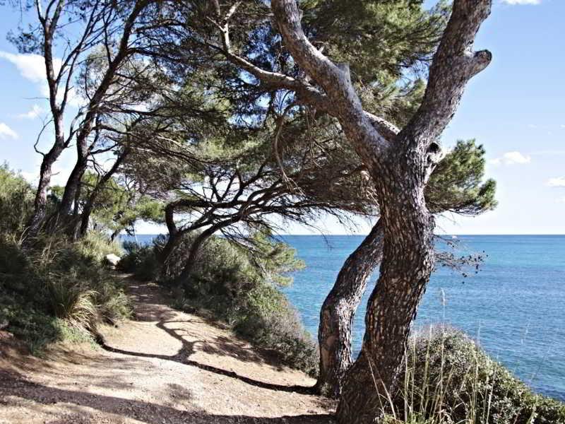 Cap Vermell
