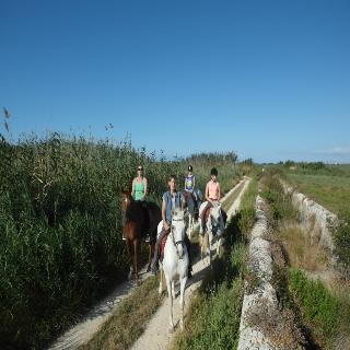Predio Son Serra Can Picafort (Mallorca)