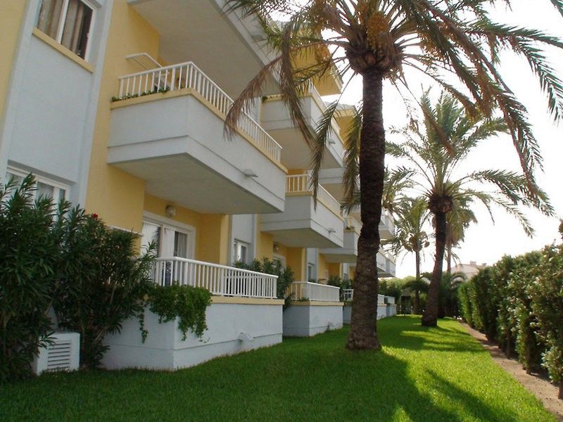 Palm Garden