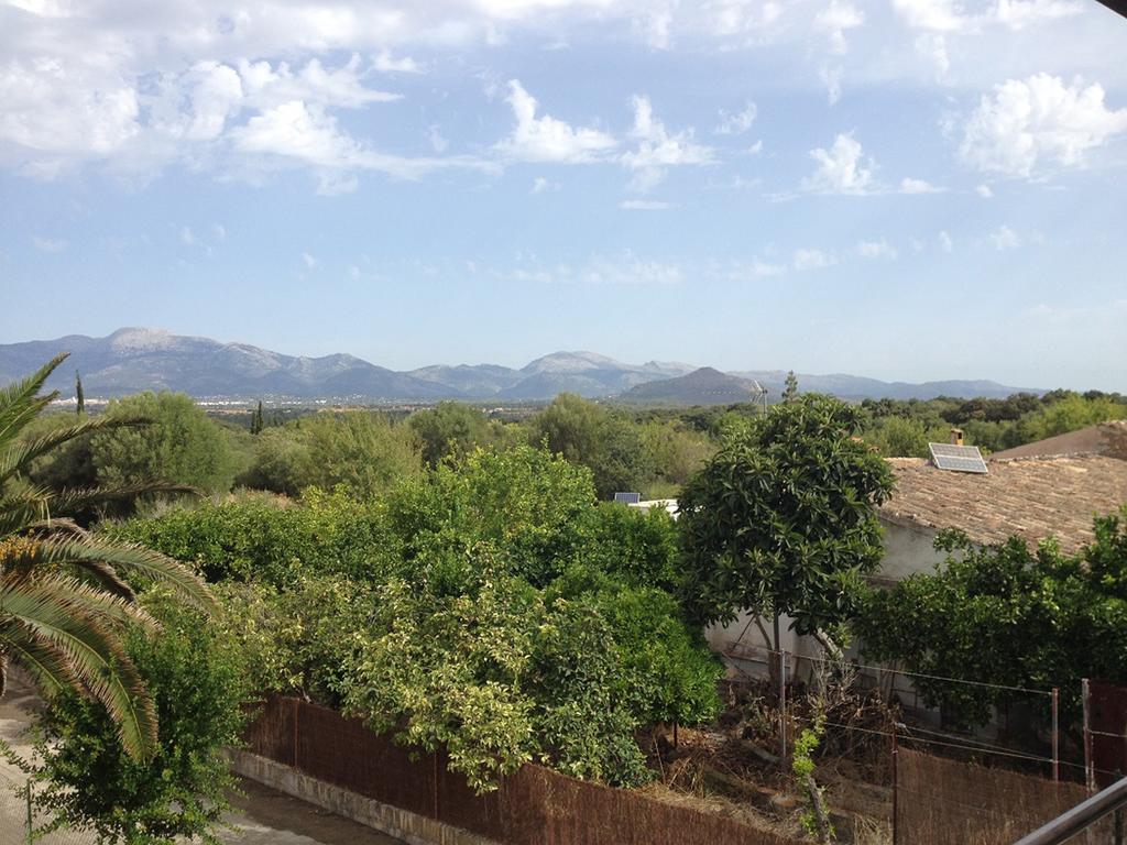 Tiro Costitx (Mallorca)
