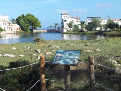 La Gola House Apartment Port de Pollenca