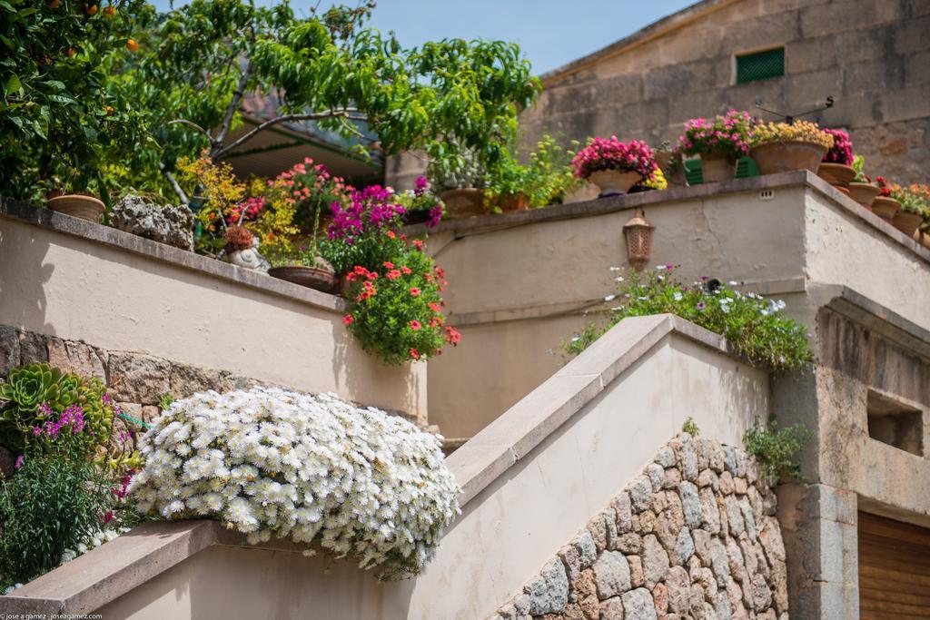 Circe Villa