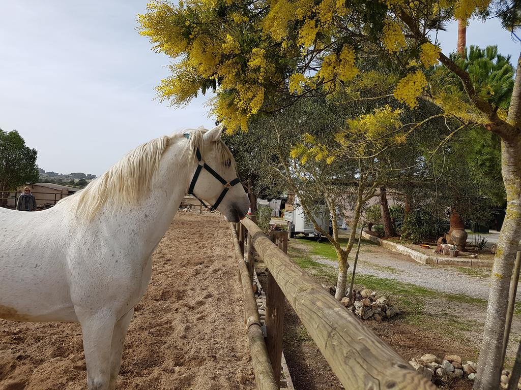 Finca Caballo Blanco *