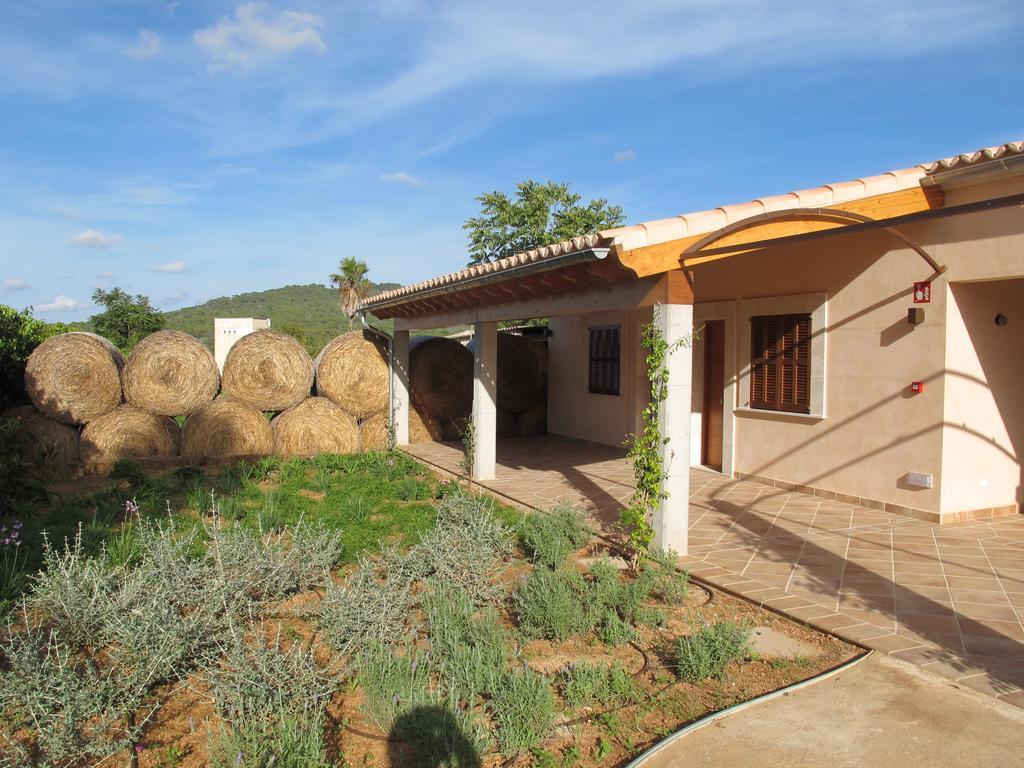 Hotel Aumallia &