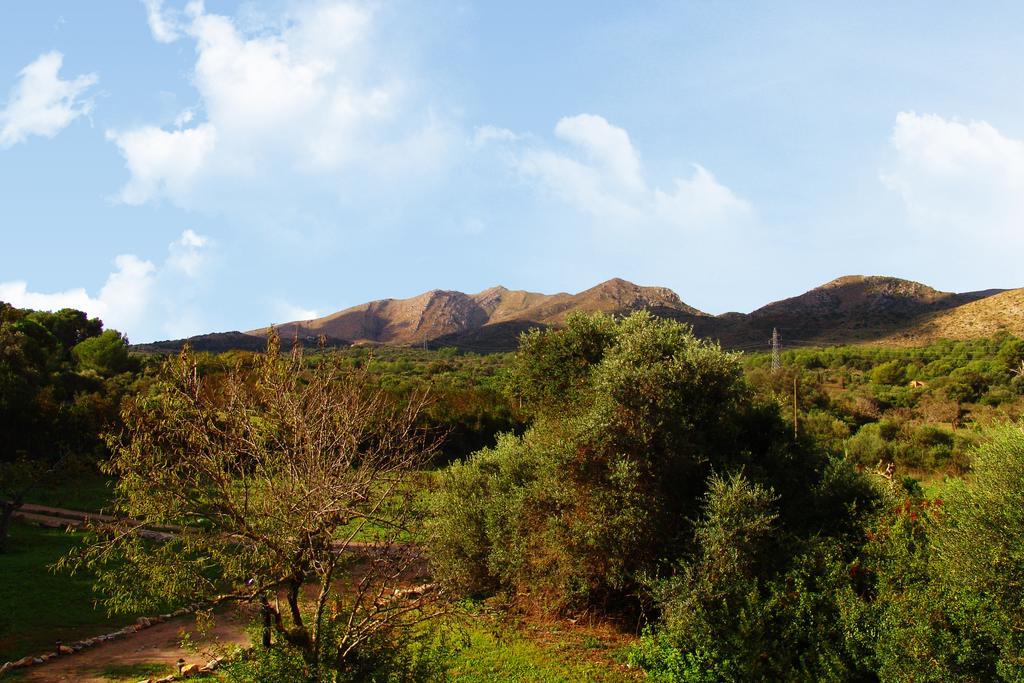 Almendra * Cala Mesquida (Mallorca)