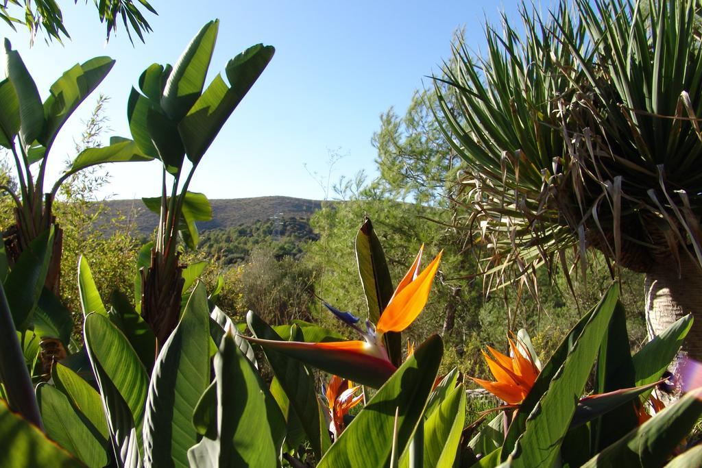 Almendra Apartment *