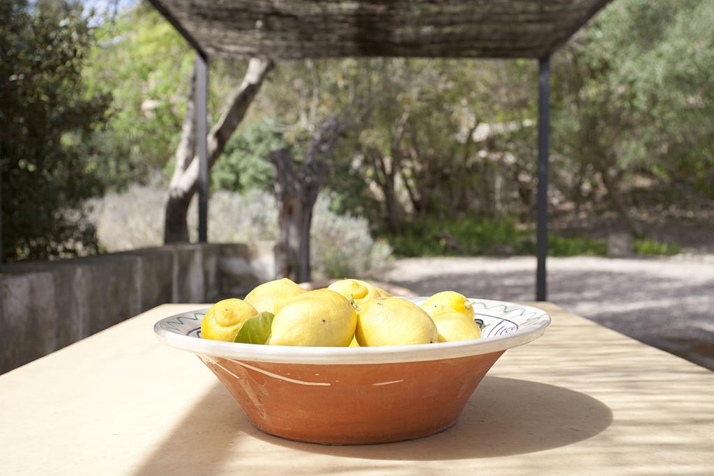 Holiday home Finca Son Coll