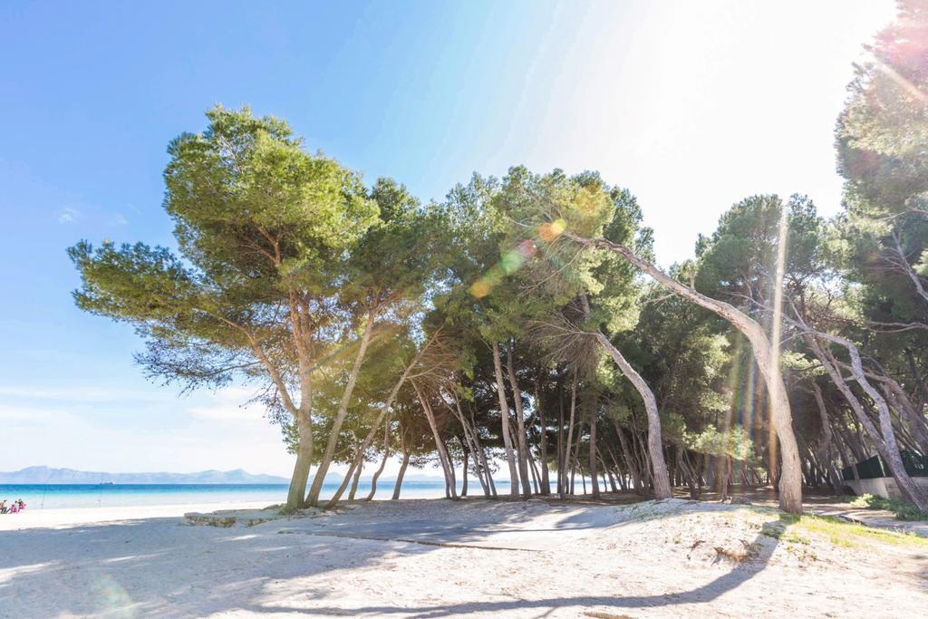 Holiday home Pinya Port de Alcudia (Mallorca)