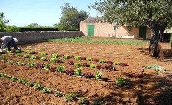 Casa rural Son Bernadinet Campos (Mallorca)