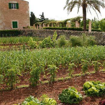 Casa rural Son Bernadinet Campos (Mallorca)