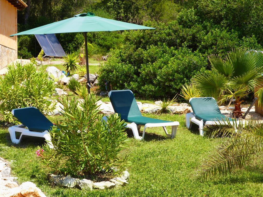 Almendra Cala Mesquida (Mallorca)