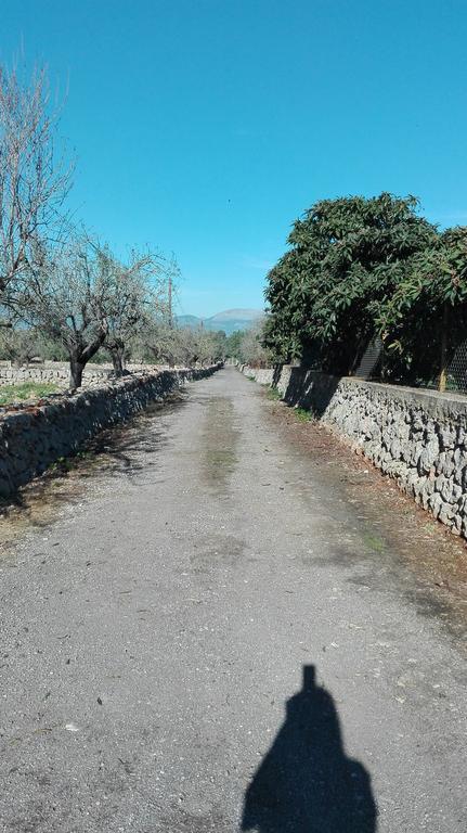 Sa Estada Casa rural Sineu (Mallorca)