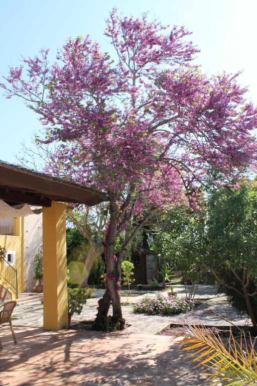Son Estrany Agroturismo