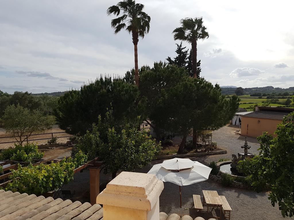 Finca Caballo Blanco Montuiri (Mallorca)