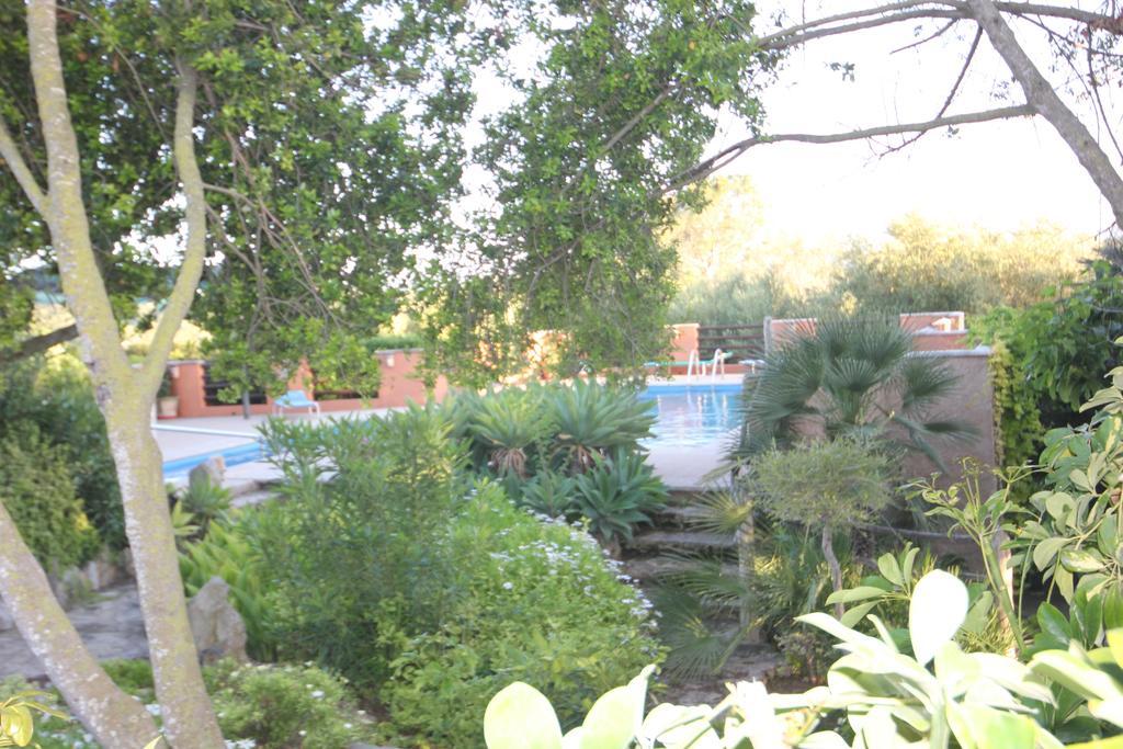 Finca Sabor Country house Montuiri (Mallorca)