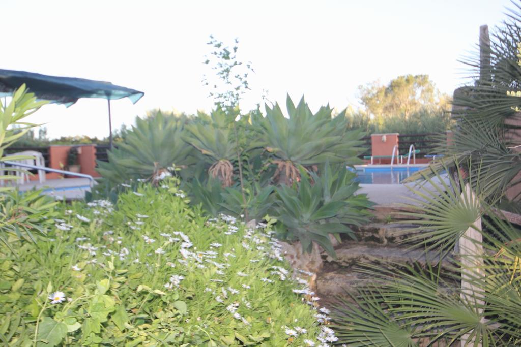 Country house Finca Sabor *