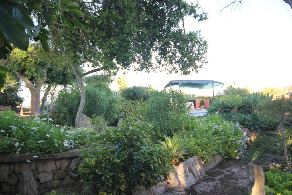 Finca Sabor *