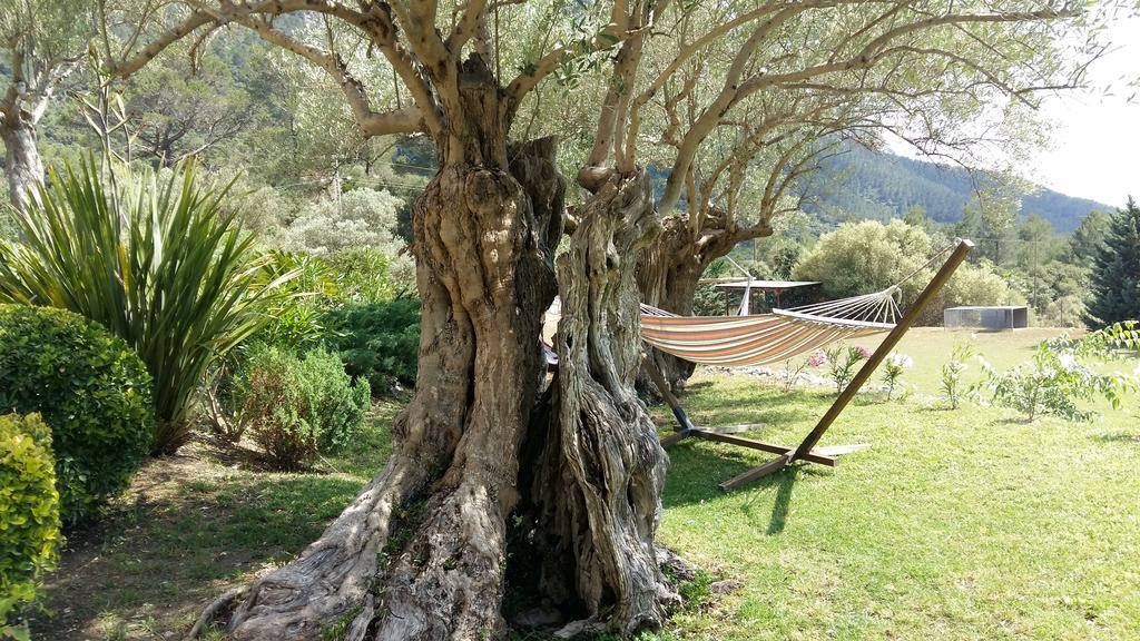 S'Era Vella Bunyola (Buñola)