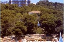 Playa Portals 3*