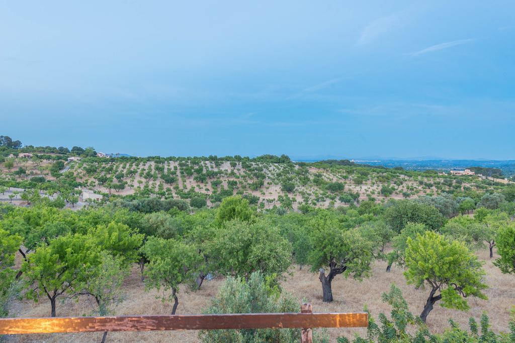 Auxella Gran Selva (Mallorca)