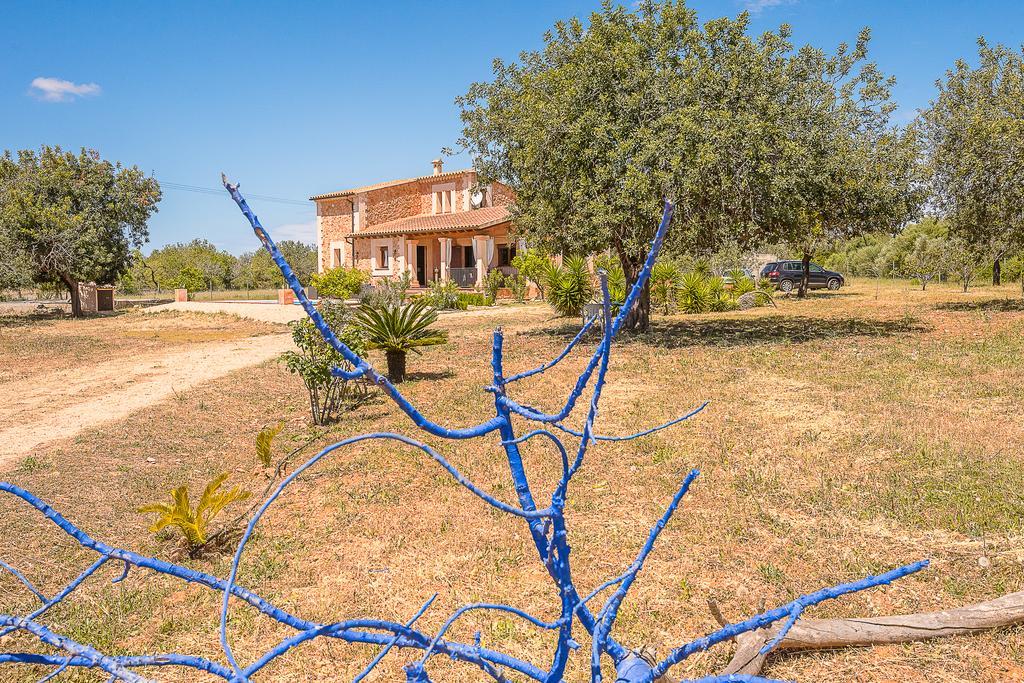 Alba Villa *