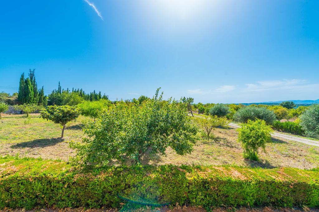 Villa Sa Bassa *