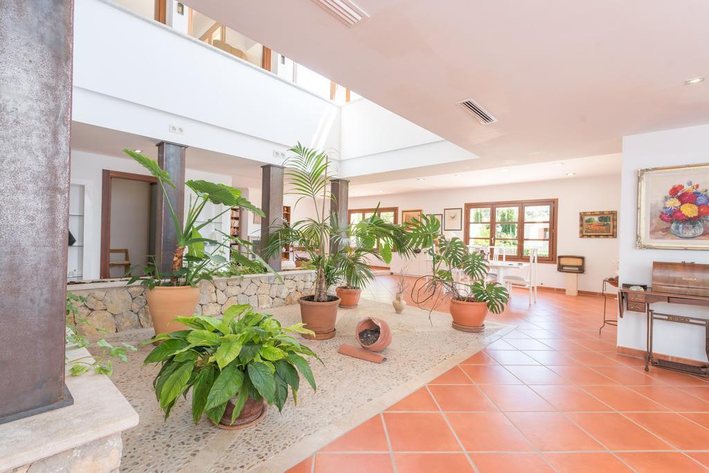 Turixant Dalt Mancor del Valle