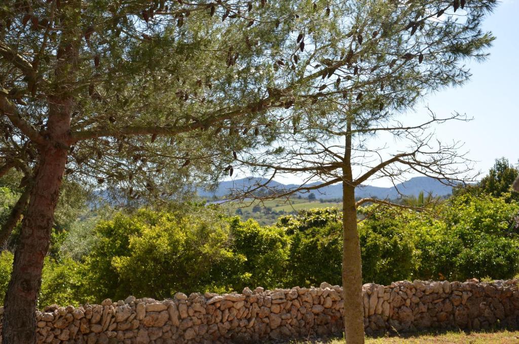Son Blat Villa Porto Cristo