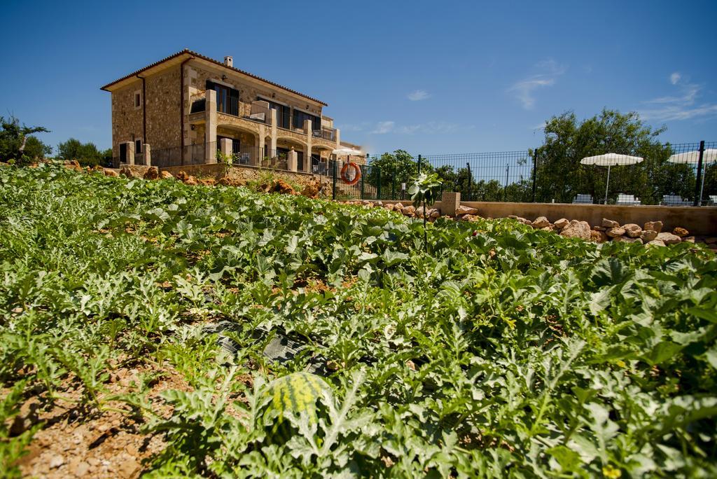 Farm stay Sa Marina Alqueria Blanca