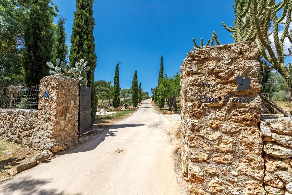 Pina - Adults Only (eco Cascada) * Costitx (Mallorca)