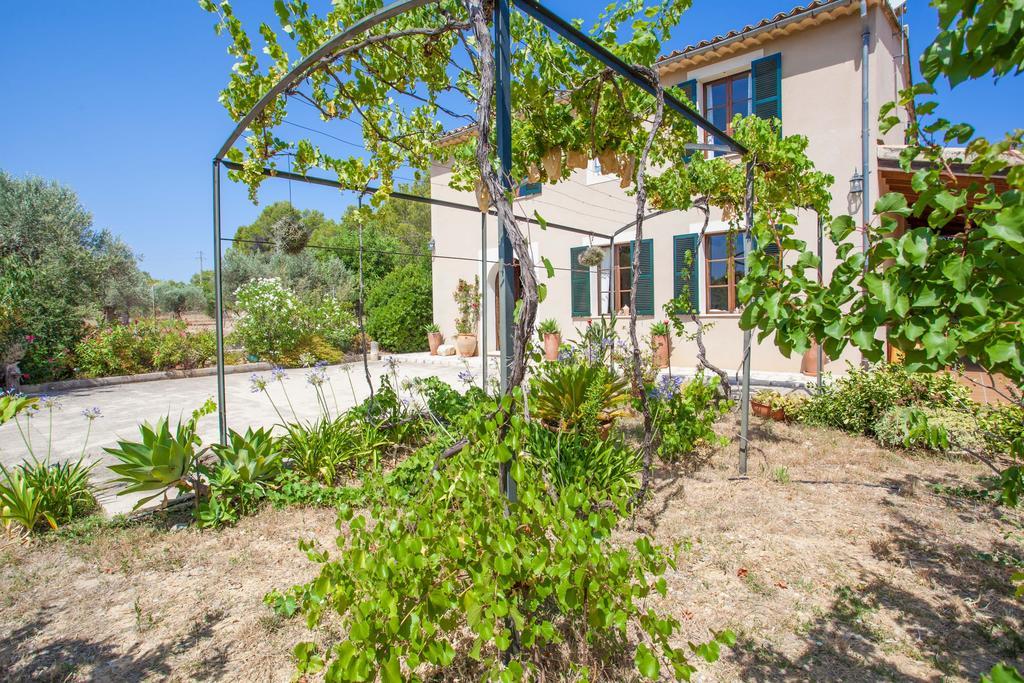 Sa Vinyota De Piti * Selva (Mallorca)