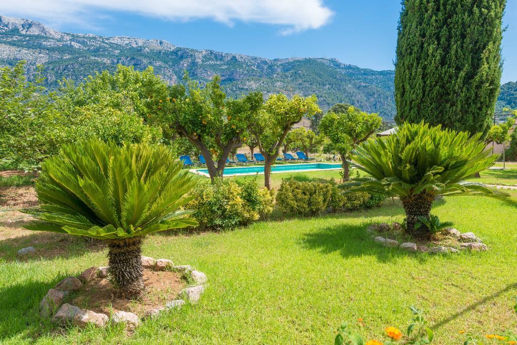 Massana Villa *