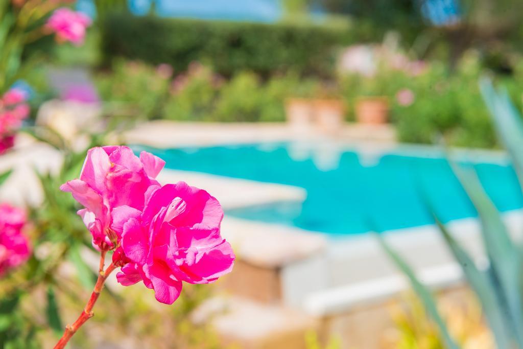 Villa Pina - Adults Only (eco Cascada) Costitx (Mallorca)