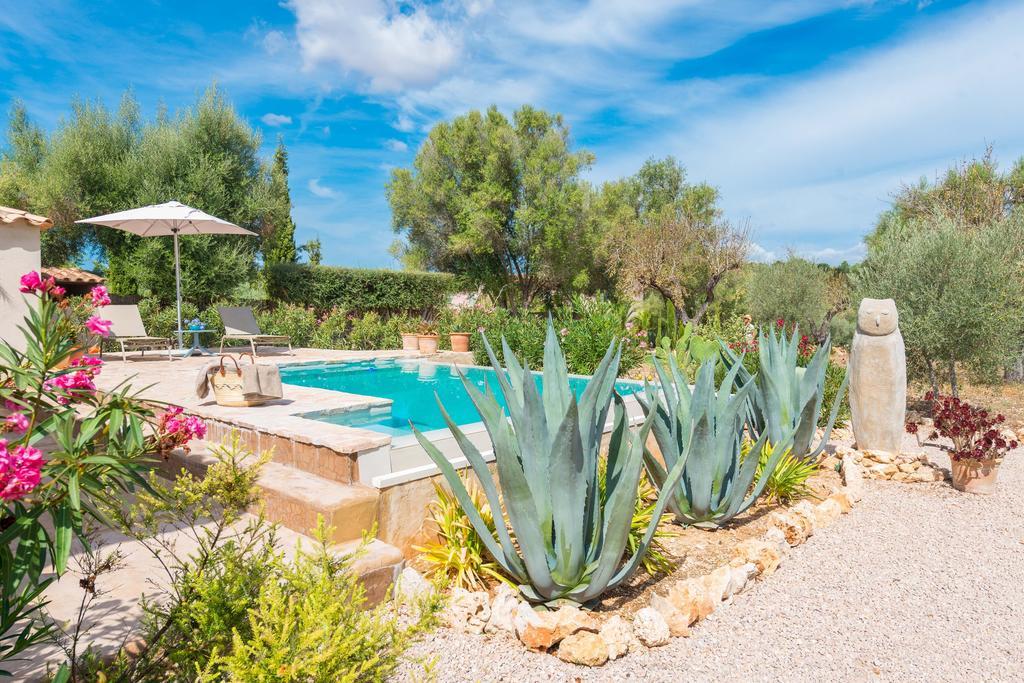 Pina - Adults Only (eco Cascada) Costitx (Mallorca)