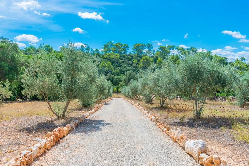 Villa Pina - Adults Only (eco Cascada) Costitx (Mallorca)