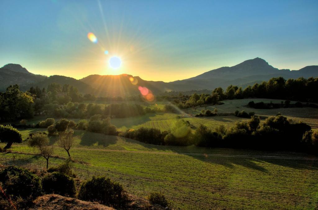 Son Pont Agroturismo *