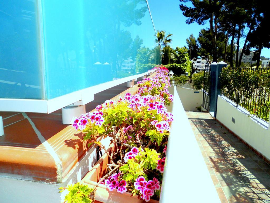 Apartamento Petit Blau
