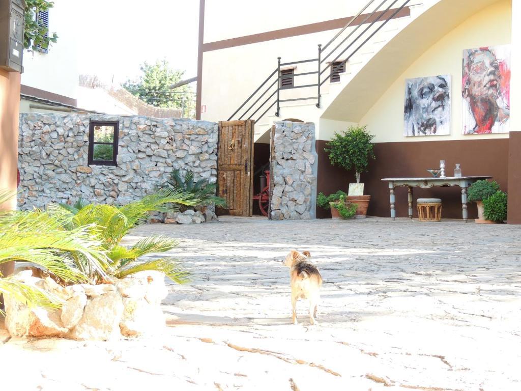 Hotel Loftotel Canet 4*